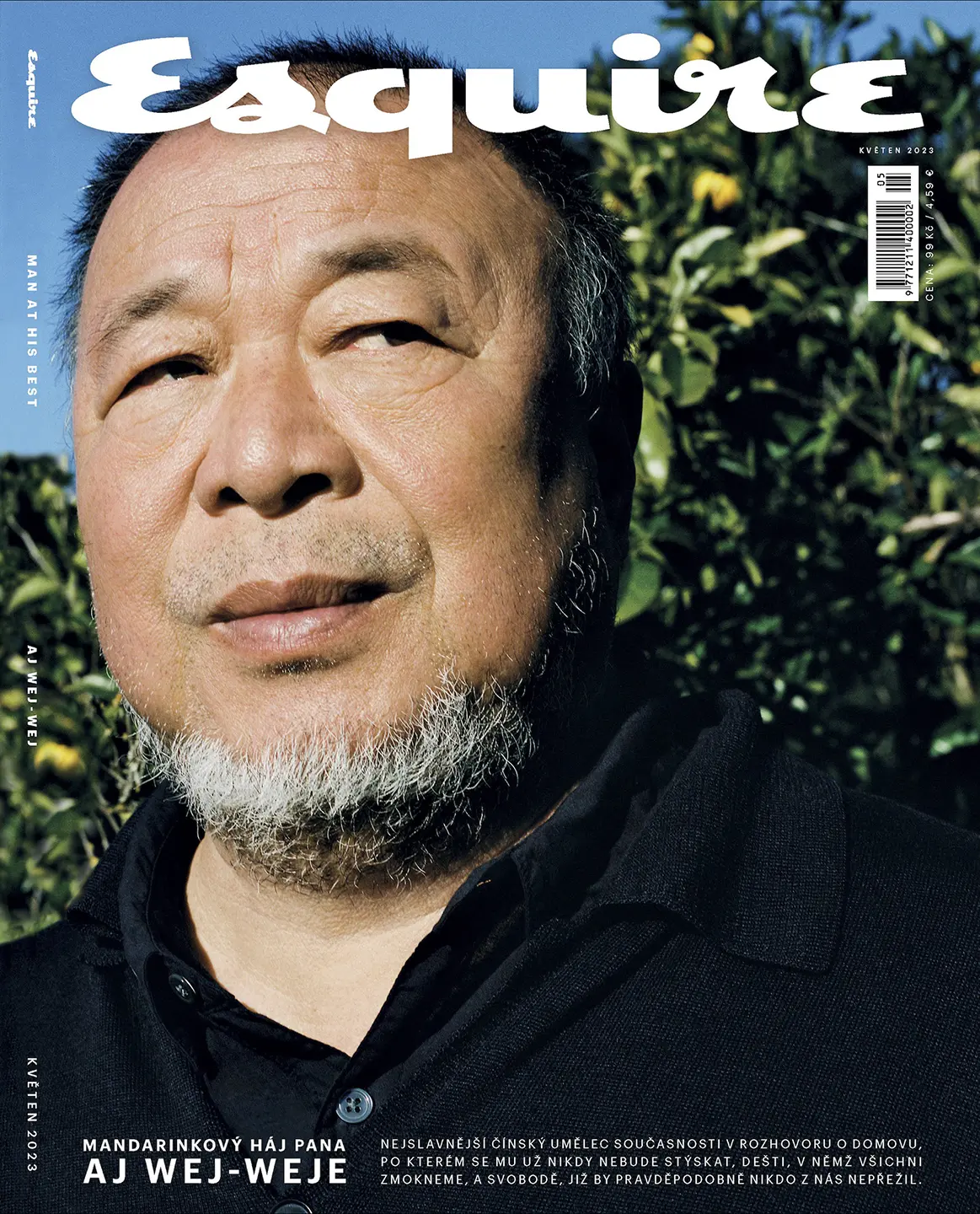 Ai Wei Wei